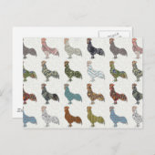 Carte Postale Chicken Rooster Coloré ferme Motif (Devant / Derrière)