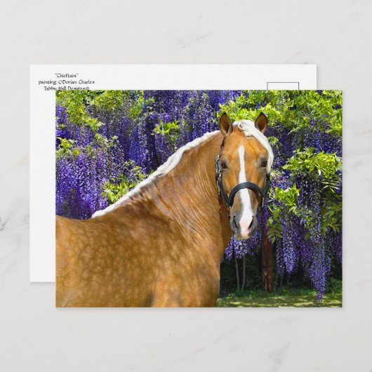 Carte postale "Chieftain" (Devant / Derrière)