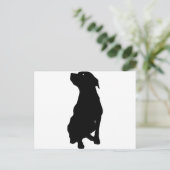 Carte Postale Chien (Debout devant)