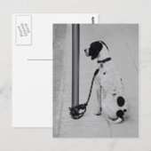 Carte Postale Chien (Devant / Derrière)