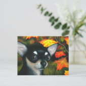Carte Postale Chien 101 noir Chihuahua (Debout devant)