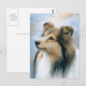 Carte Postale Chien 122 Sheltie Collie (Devant / Derrière)