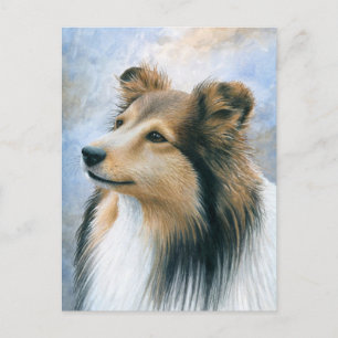 Carte Postale Chien 122 Sheltie Collie