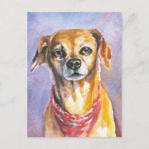 Carte Postale Chien 2