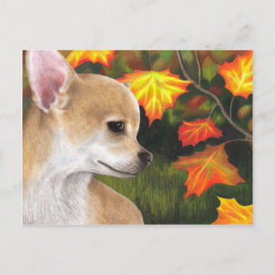 Carte Postale Chien 94 Chihuahua