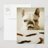 Carte Postale Chien À Balle Français Avec Moustache (Devant / Derrière)