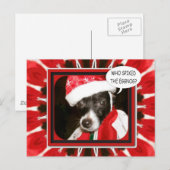 Carte Postale Chien à épingle (Devant / Derrière)