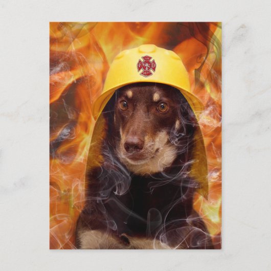 Carte Postale Chien à feu (Devant)