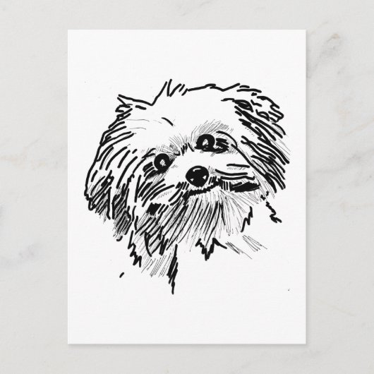 Carte Postale Chien à la broche (Devant)