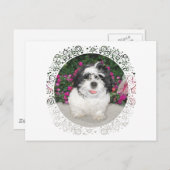 Carte Postale Chien à Secourt de chiot noir et blanc Tzu (Devant / Derrière)