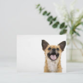 Carte Postale Chien à soupe (Debout devant)