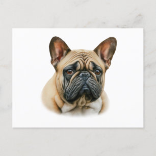 Carte Postale Chien à tête blanche