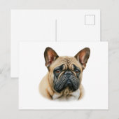 Carte Postale Chien à tête blanche (Devant / Derrière)