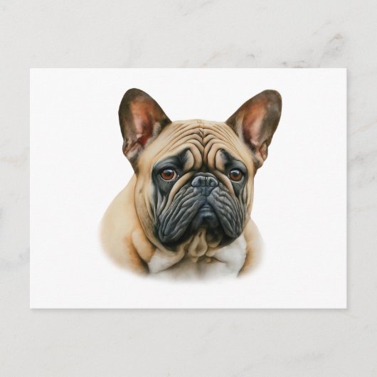 Carte Postale Chien à tête blanche (Devant)