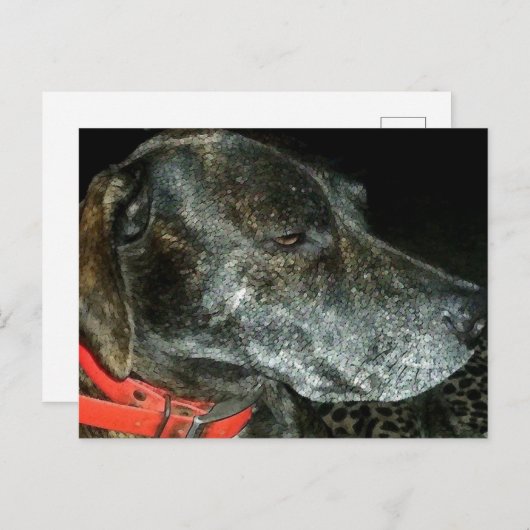 Carte Postale Chien adorable (Devant / Derrière)