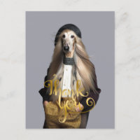 Chien afghan cheveux blonds Merci pantalon