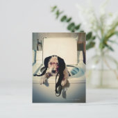 Carte Postale Chien aidant avec le lavage (Debout devant)