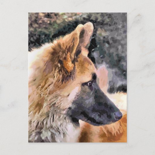 CARTE POSTALE CHIEN ALLEMAND SHEPHERD (Devant)