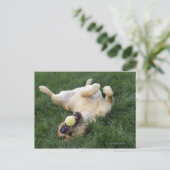 Carte Postale Chien allongé dans l'herbe avec balle de tennis (Debout devant)