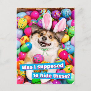 Carte Postale Chien allongé sur des œufs de Pâques