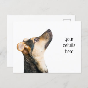 Carte Postale Chien amusant chiot