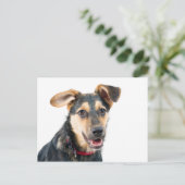 Carte Postale Chien amusant chiot (Debout devant)