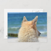 Carte Postale Chien Animaux À La Plage | Surf de sable marin (Devant / Derrière)