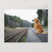 Carte Postale Chien assis à la gare (Devant)