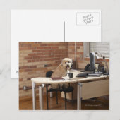Carte Postale Chien assis au bureau (Devant / Derrière)
