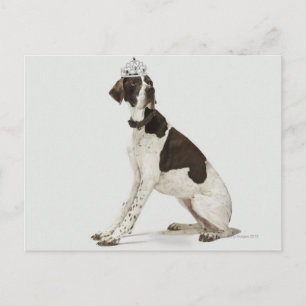 Carte Postale Chien assis avec une tiare sur la tête