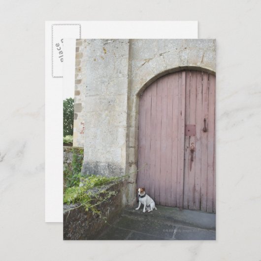 Carte Postale Chien assis devant des portes closes (Devant / Derrière)