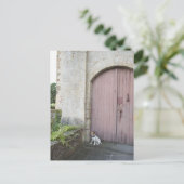 Carte Postale Chien assis devant des portes closes (Debout devant)