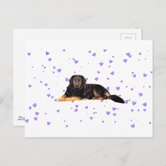Carte Postale Chien aux Coeurs pourpres en chute (Devant / Derrière)
