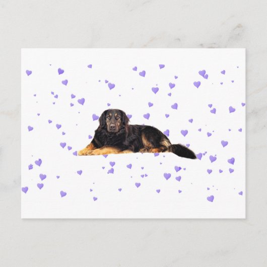 Carte Postale Chien aux Coeurs pourpres en chute (Devant)