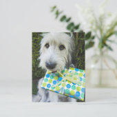 Carte Postale Chien avec cadeau dans la bouche (Debout devant)