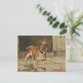Carte Postale Chien Avec Chien Roux Dur (Debout devant)