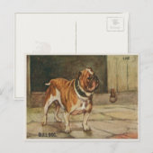 Carte Postale Chien Avec Chien Roux Dur (Devant / Derrière)