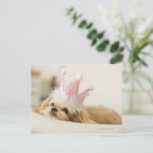 Carte Postale Chien avec couronne (Debout devant)