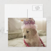 Carte Postale Chien avec décorations sur lit (Devant / Derrière)