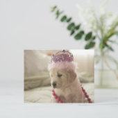 Carte Postale Chien avec décorations sur lit (Debout devant)