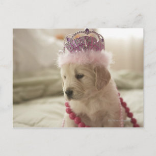 Carte Postale Chien avec décorations sur lit
