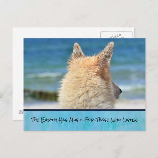 Carte Postale Chien Avec Un Message Inspirant (Devant / Derrière)