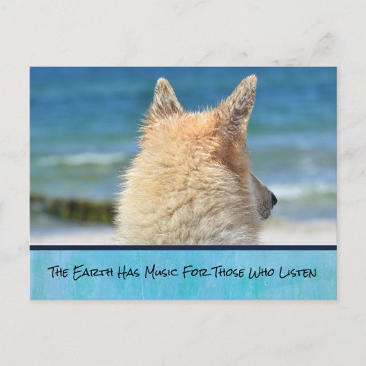 Carte Postale Chien Avec Un Message Inspirant (Devant)