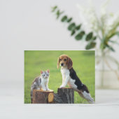 Carte Postale Chien beagle Et Tabby Gris Kitten (Debout devant)