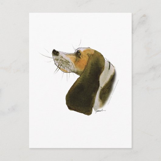 Carte Postale chien beagle, tony fernandes (Devant)