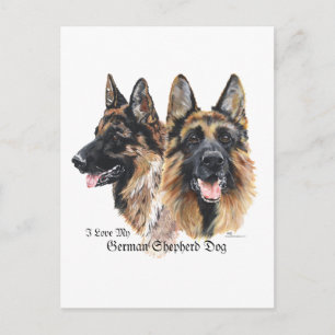 Carte Postale Chien berger allemand