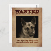 Carte Postale Chien berger allemand (Devant / Derrière)