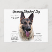 Chien berger allemand (sable) Histoire Conception