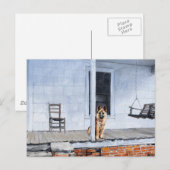 Carte Postale Chien berger allemand sur le porche (Devant / Derrière)