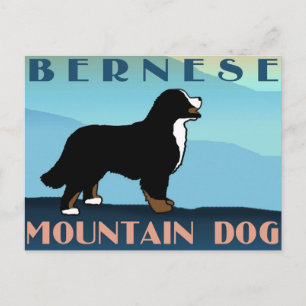 Carte Postale Chien bernois de la Montagne bleue